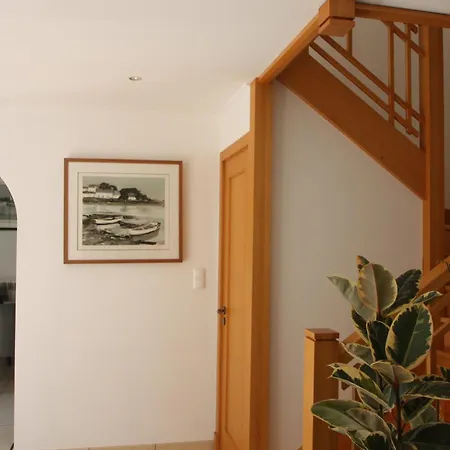 וילה Vida Nova *